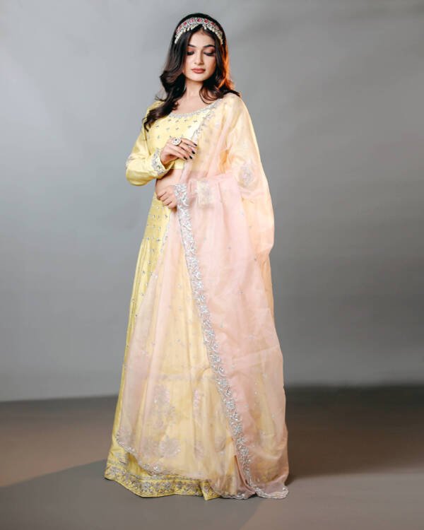 Pastel Lehanga With Silver Dabka Work in Raw Silk Powder Yellow & Pastel Pink